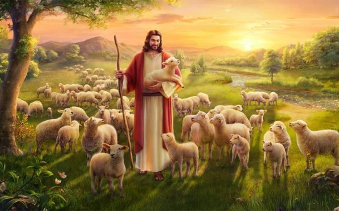 What We Can Learn About God From the Parable of the Lost Sheep