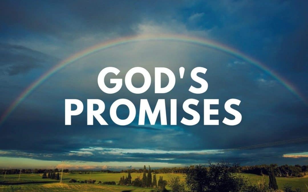 The Promises of God in the Bible