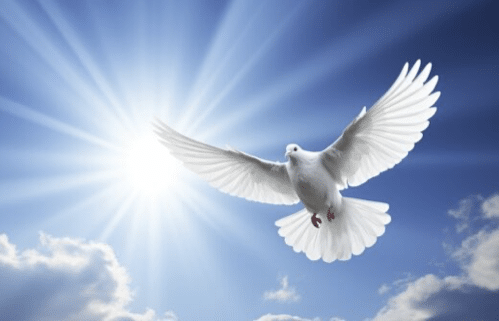 Holy Spirit dove