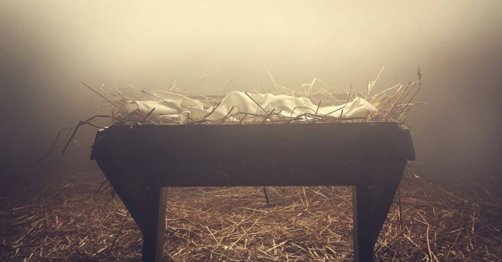 the child of prophecy: the foretold birth of Jesus Christ