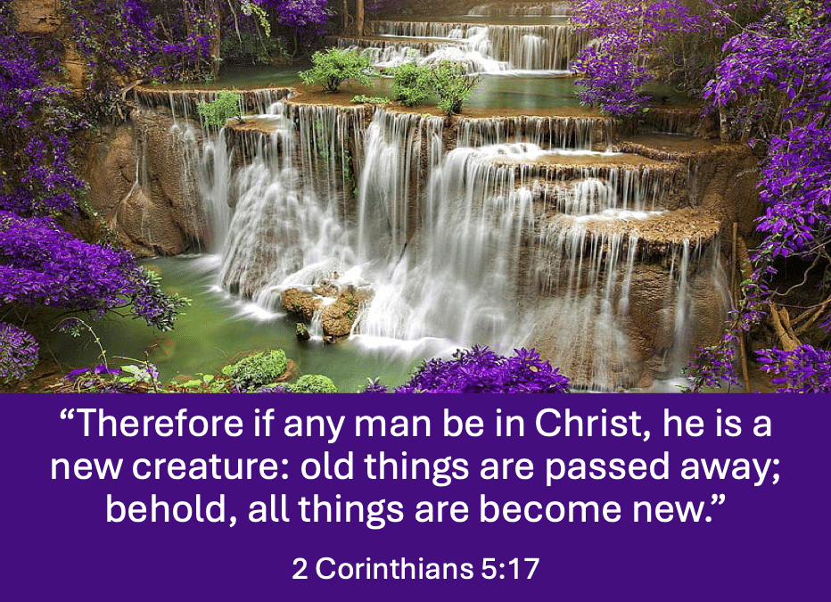 Out With the Old, in With the New